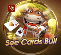 See Cards Bull